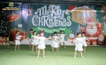 Merry Christmas 2024 - Ghi dấu mùa Giáng sinh an lành Hoa Trạng Nguyên